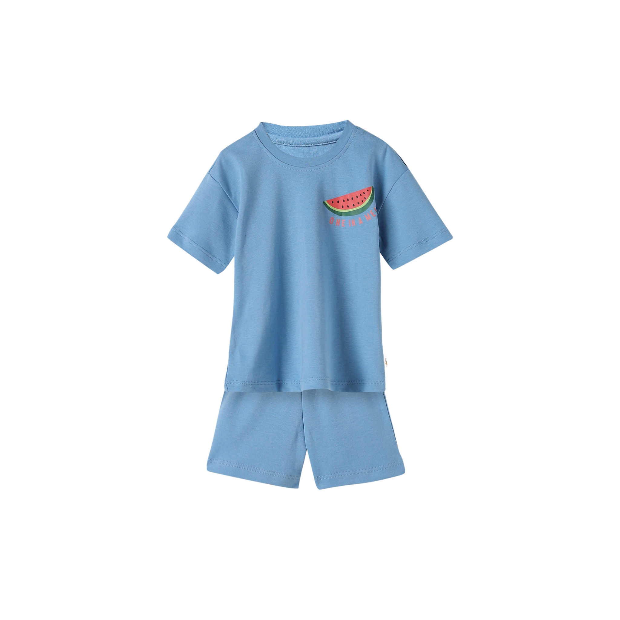 Organic Tee & Shorts Co-ord Set