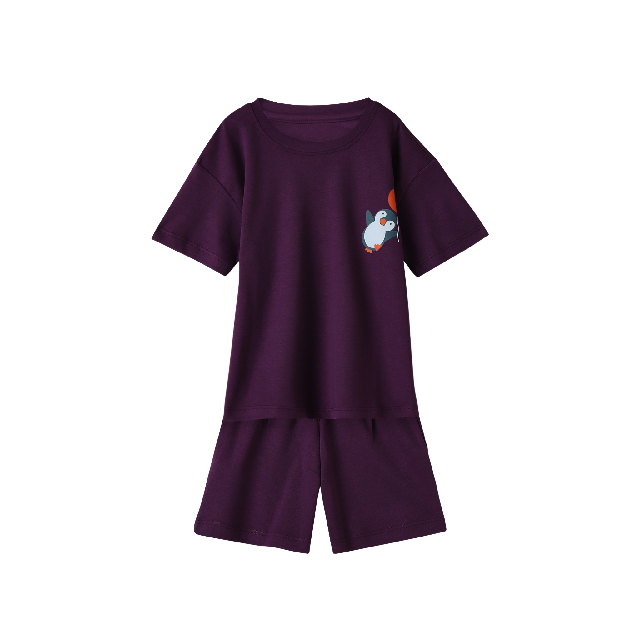 Organic Tee & Shorts Co-ord Set