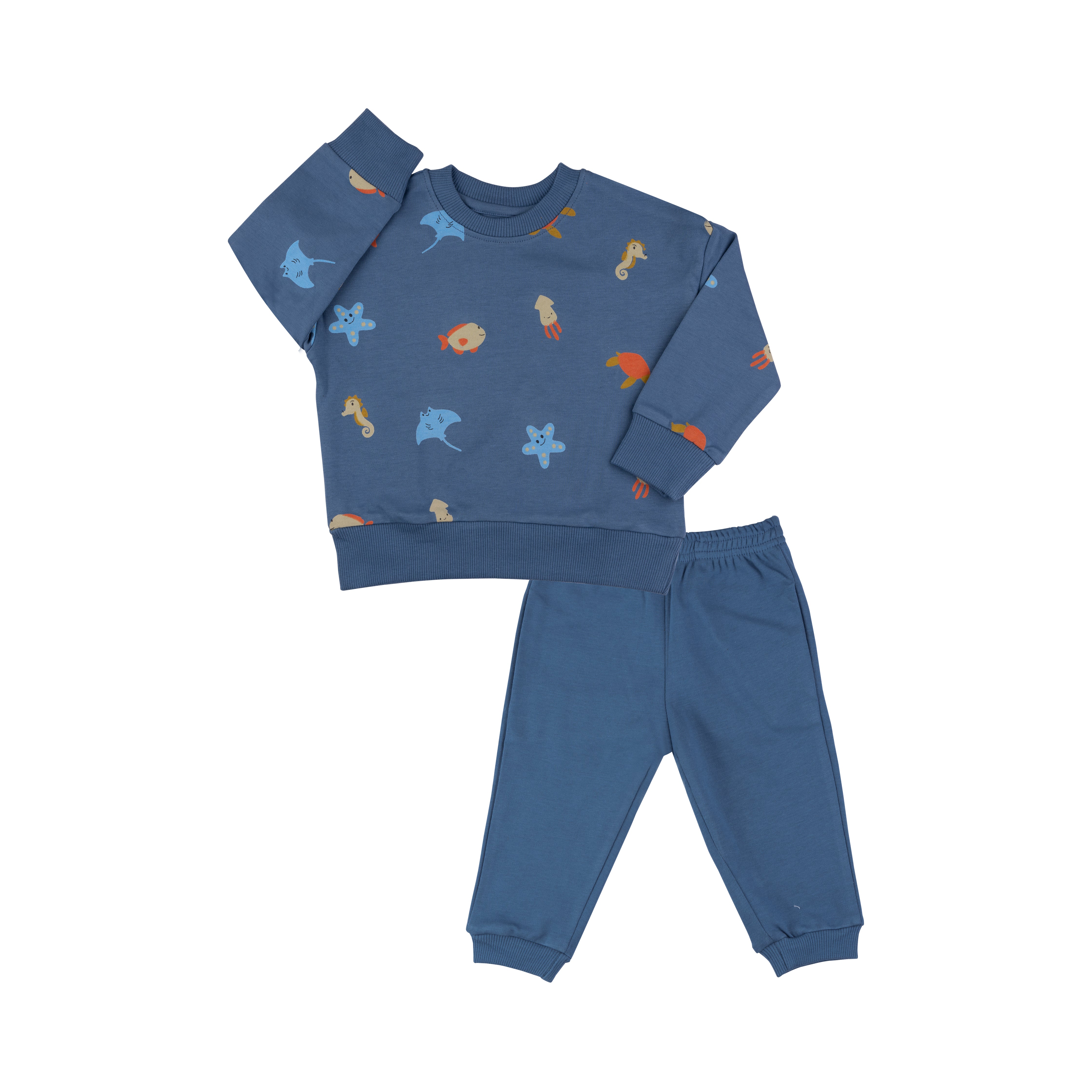Organic Tracksuit Set