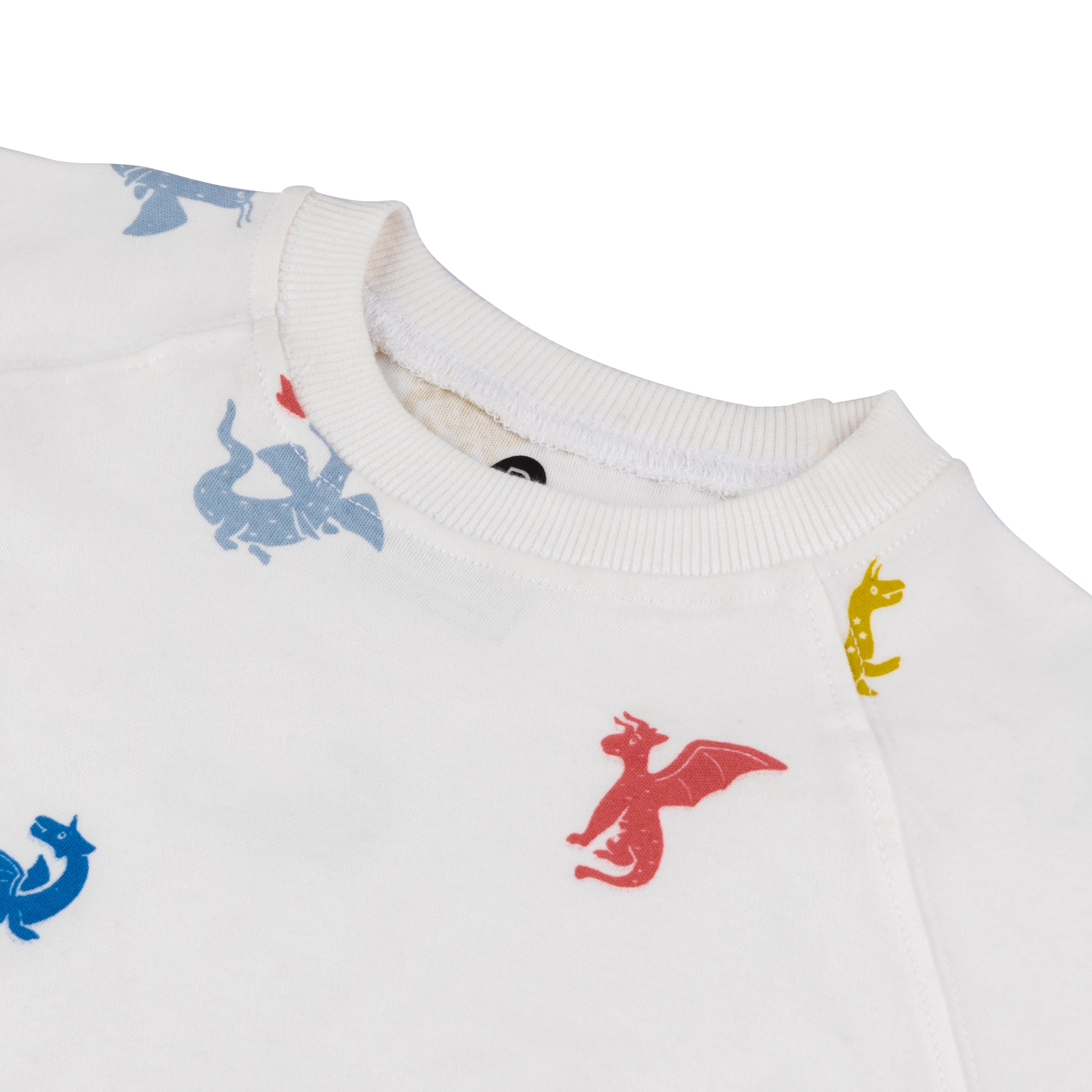 Organic Tee & Shorts Co-ord Set