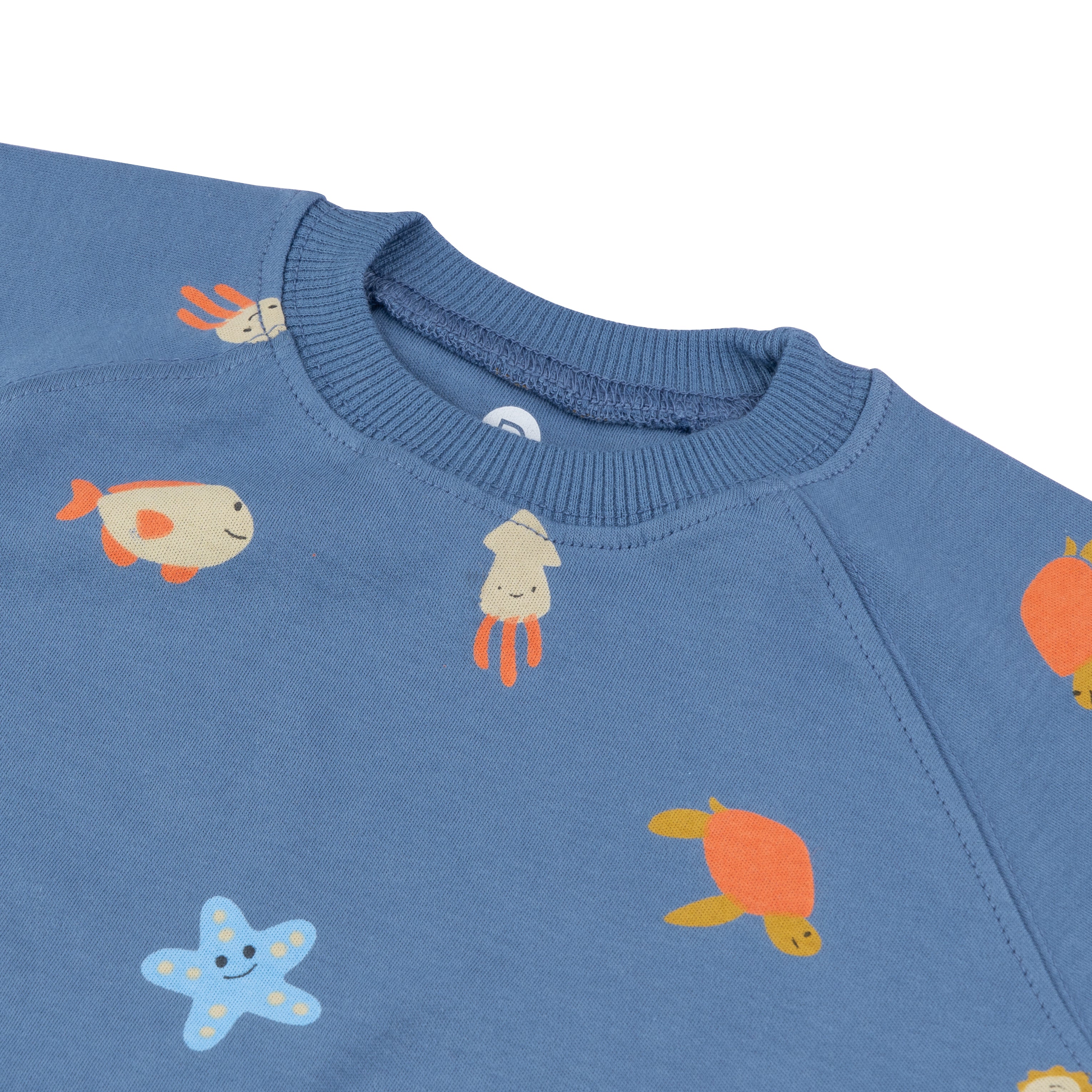 Organic Tee & Shorts Co-ord Set