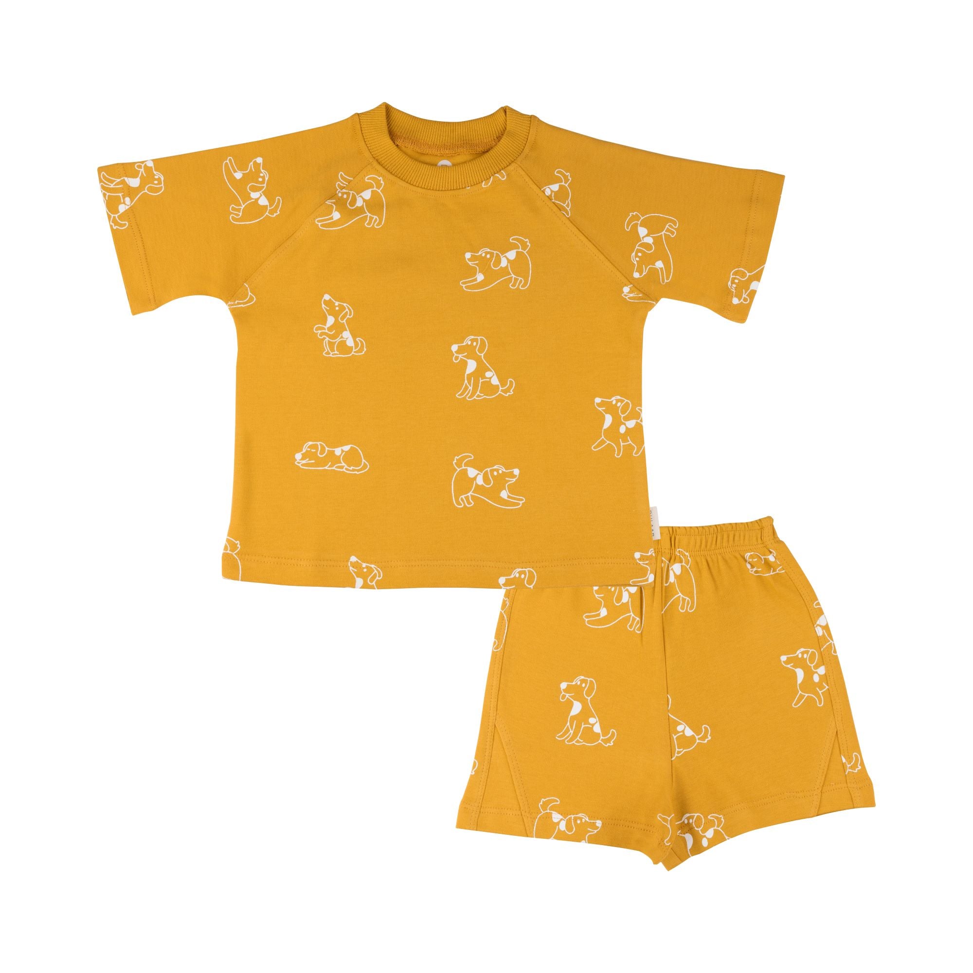 Organic Tee & Shorts Co-ord Set