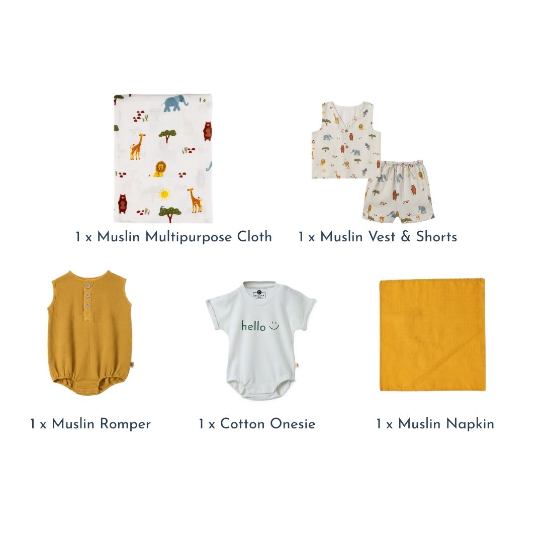 Baby's First Milestones! Gift Box Set (6-12 Months)