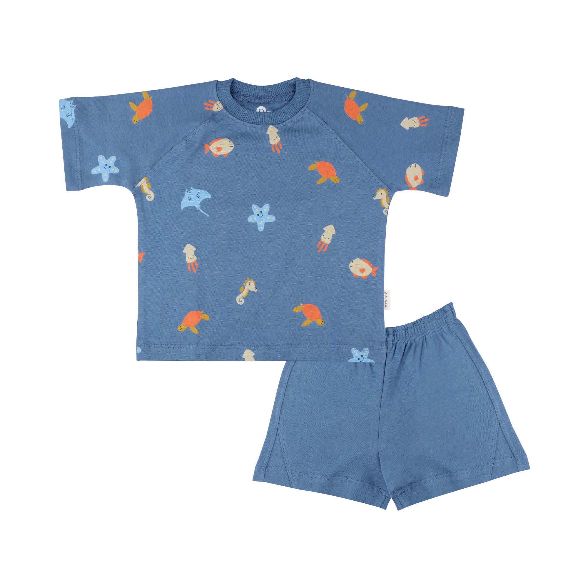 Organic Tee & Shorts Co-ord Set
