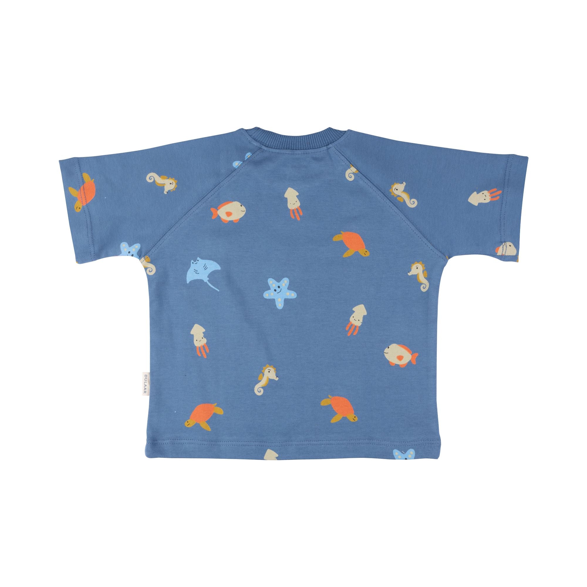 Organic Tee & Shorts Co-ord Set