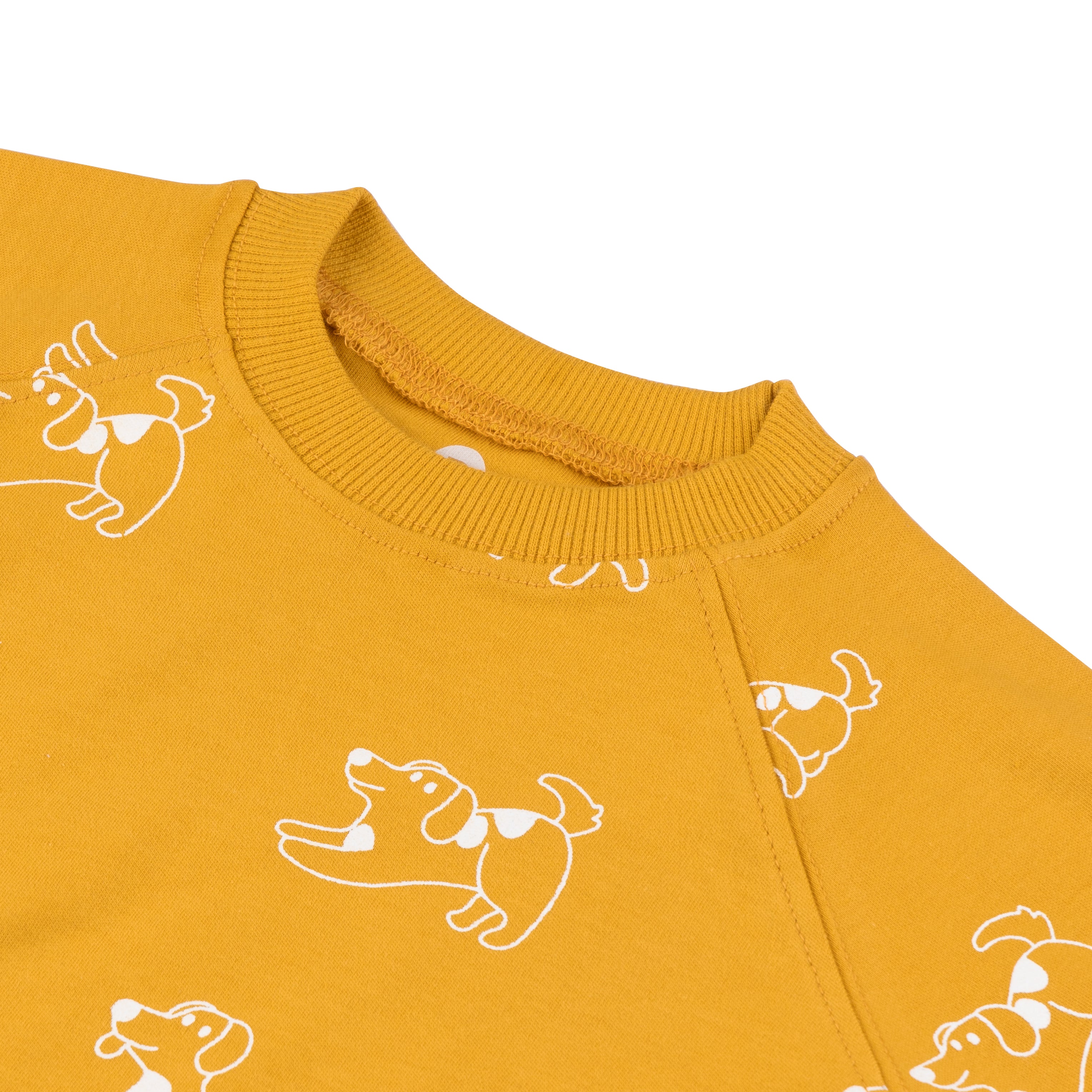 Organic Tee & Shorts Co-ord Set