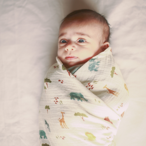 Swaddle is a light, breathable muslin wrap that mimics the feeling of being in the womb for a baby. It helps them feel safe and secure while they rest or sleep. Organic cotton organic muslin premium gift luxury gift sustainable clothes baby clothes baby gift newborn gift birthday gift onesie bodysuit